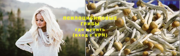 MESCALINE Пролетарск