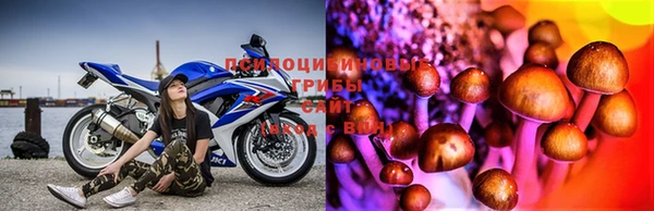 винт Абинск