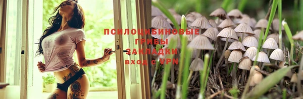 каннабис Абаза