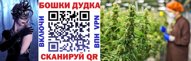 как найти закладки  Серафимович  Каннабис конопля 